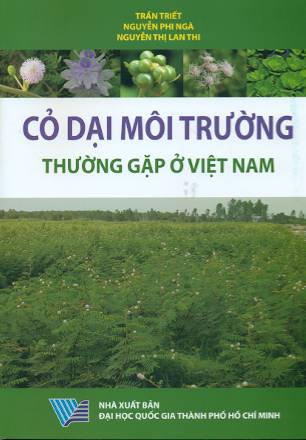 Cỏ dại môi trường thường gặp ở Việt Nam