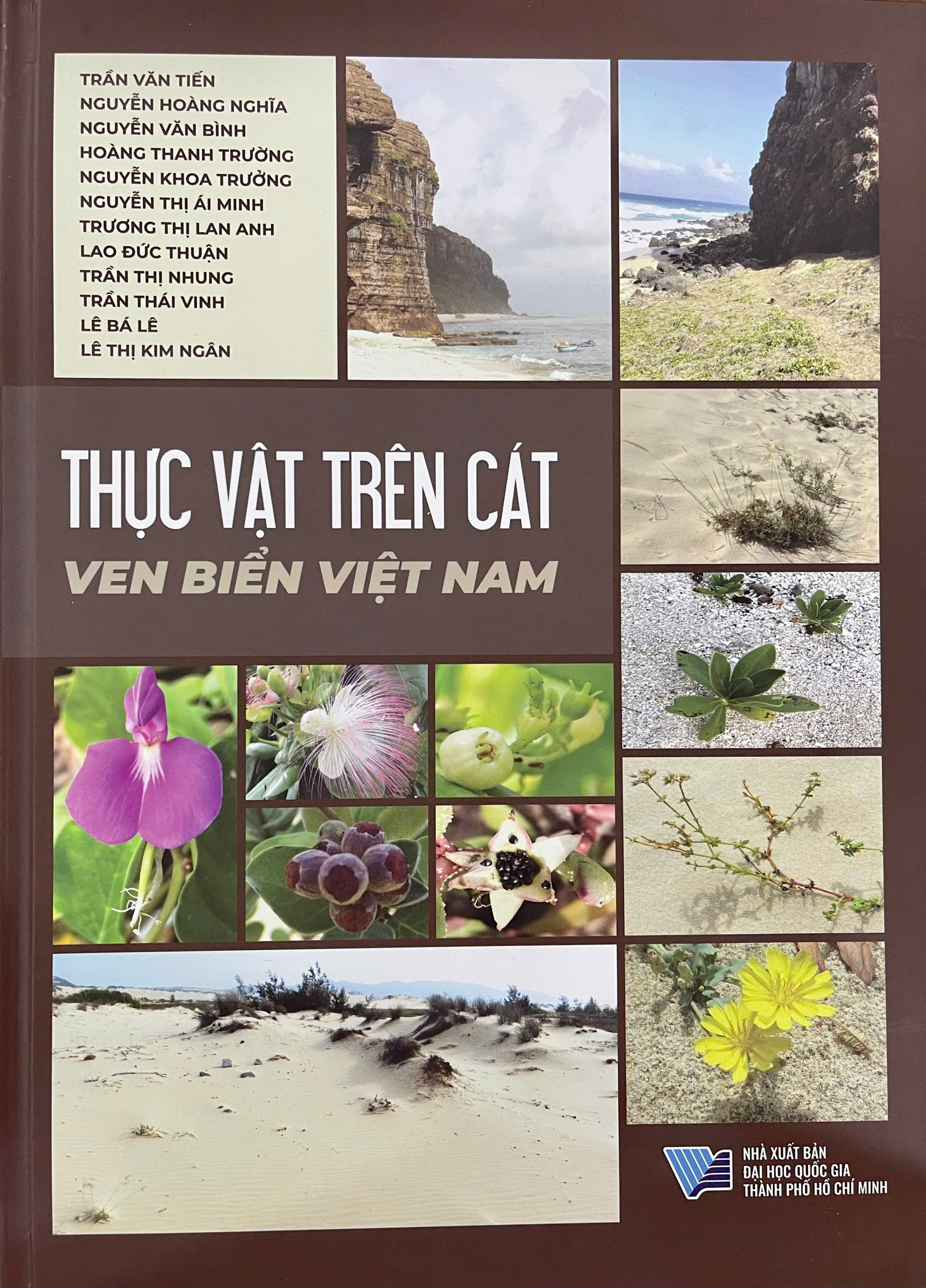 Thực vật trên cát ven biển Việt Nam