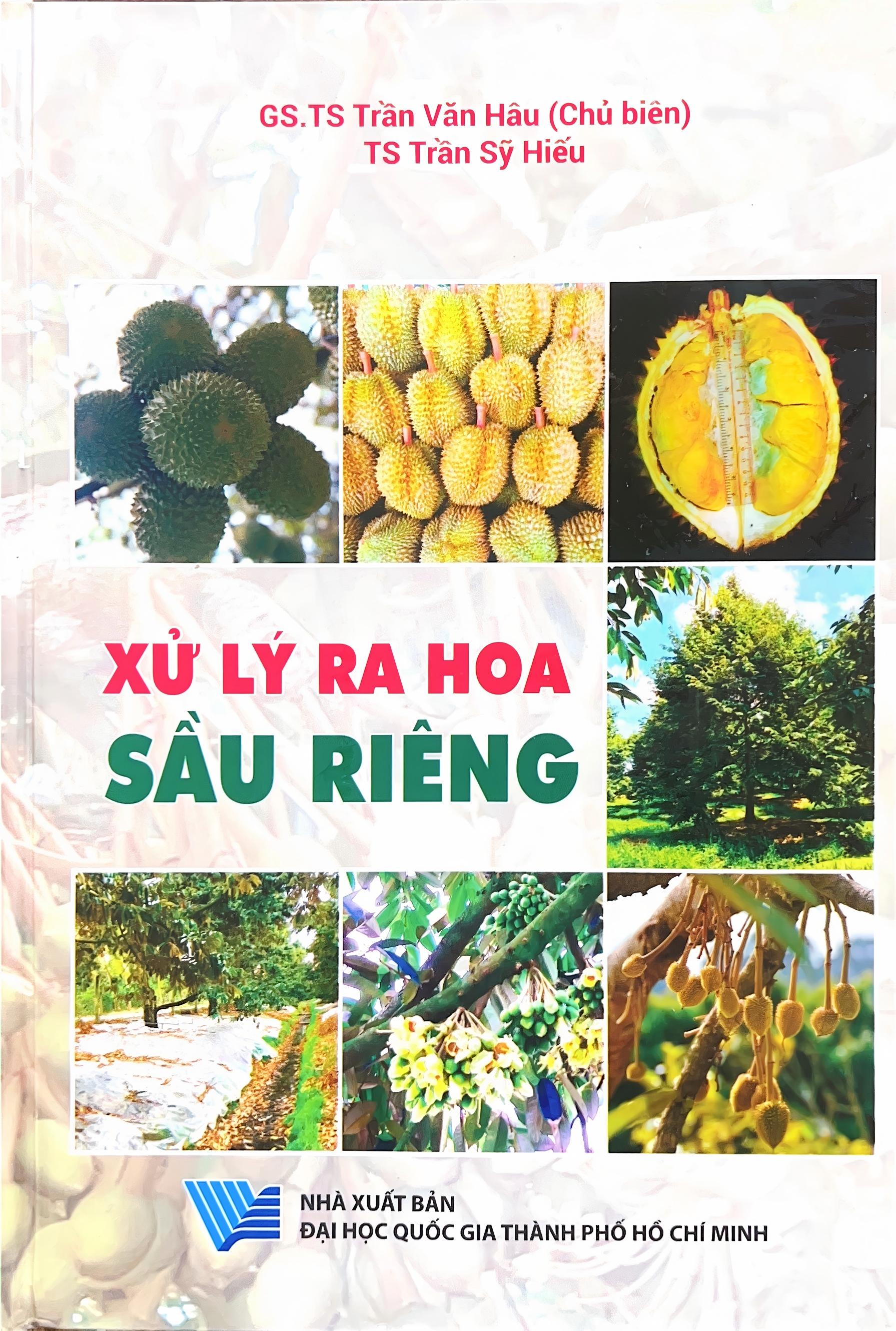 Xử lý ra hoa sầu riêng