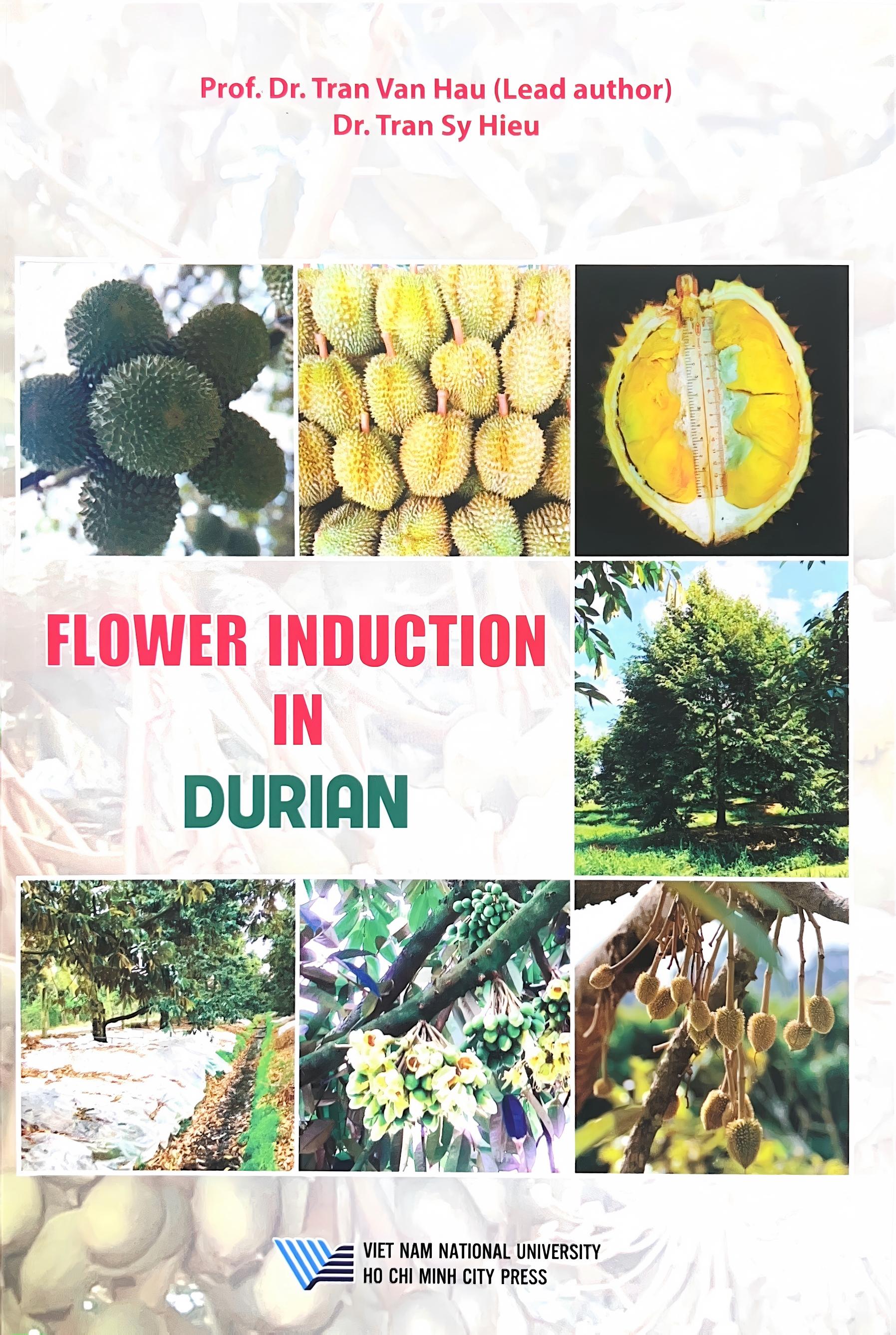 Flower Induction in Durian