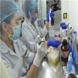 ĐHQG-HCM CÓ THÊM 12 CHƯƠNG TRÌNH ĐÀO TẠO ĐẠT CHUẨN AUN