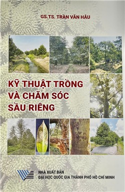 Kỹ thuật trồng và chăm sóc sầu riêng