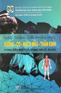 Giáo trình Giải phẫu học Xương- Cơ- Mạch máu- Thần kinh vùng đầu mặt cổ, vùng ngực bụng