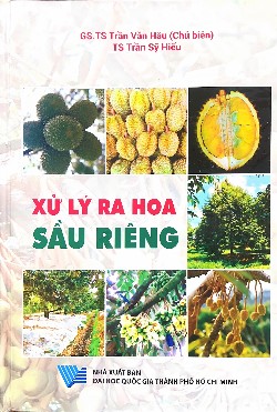 Xử lý ra hoa sầu riêng