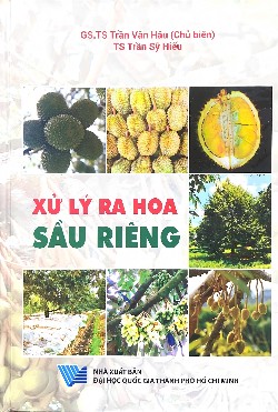 Xử lý ra hoa sầu riêng